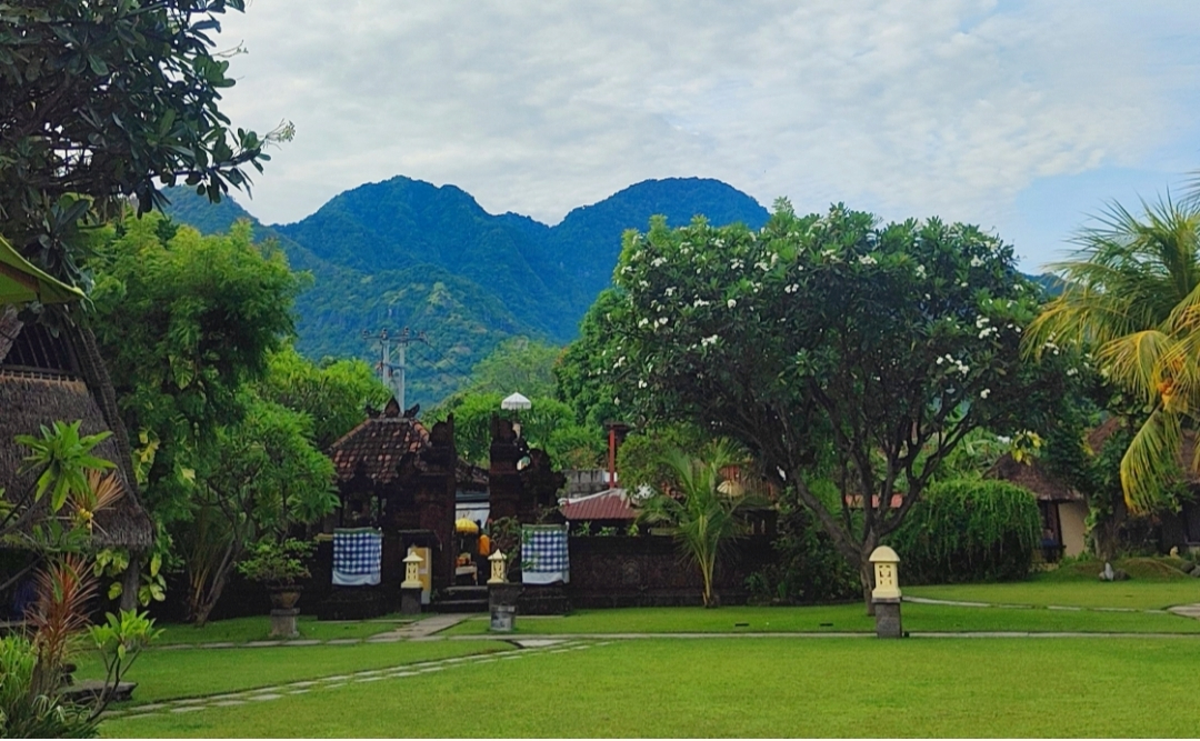 userImage-19