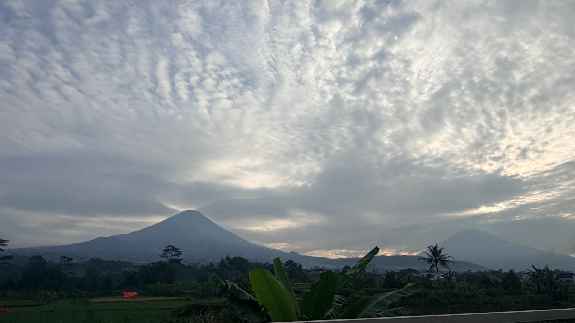userImage-1
