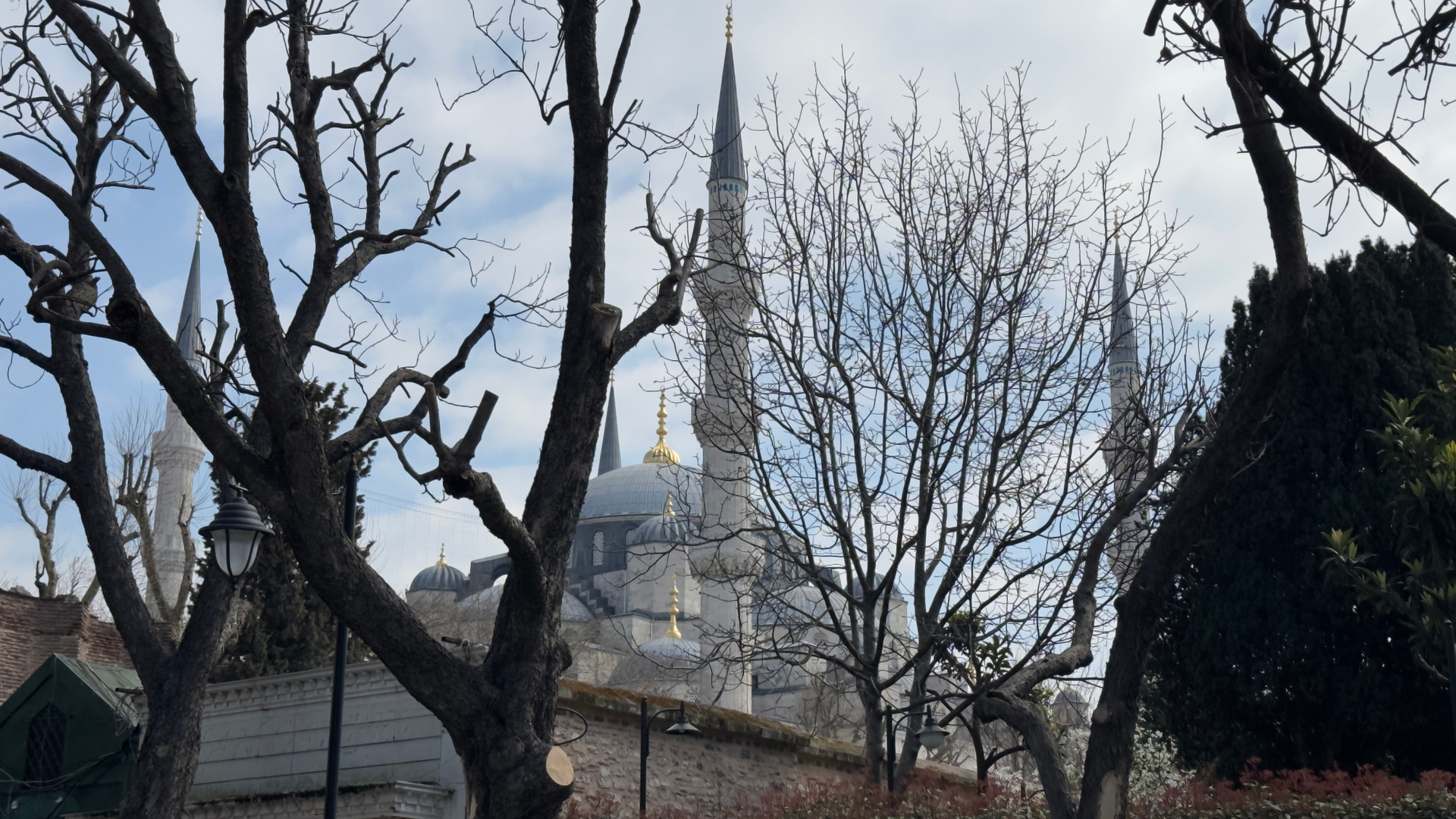 userImage-5