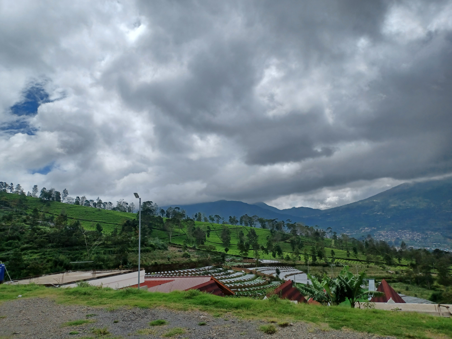 userImage-5