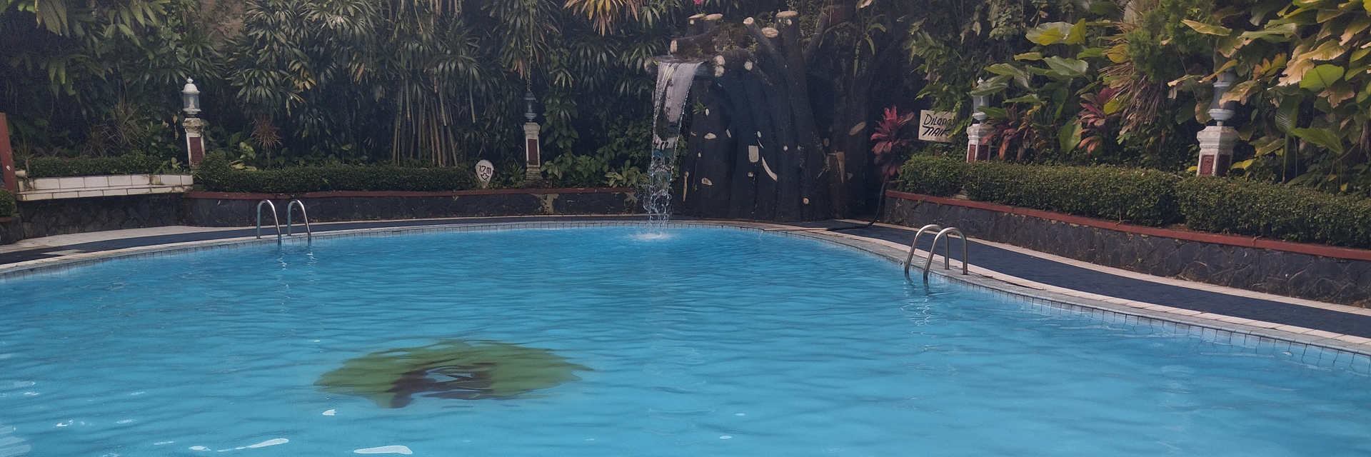 userImage-12