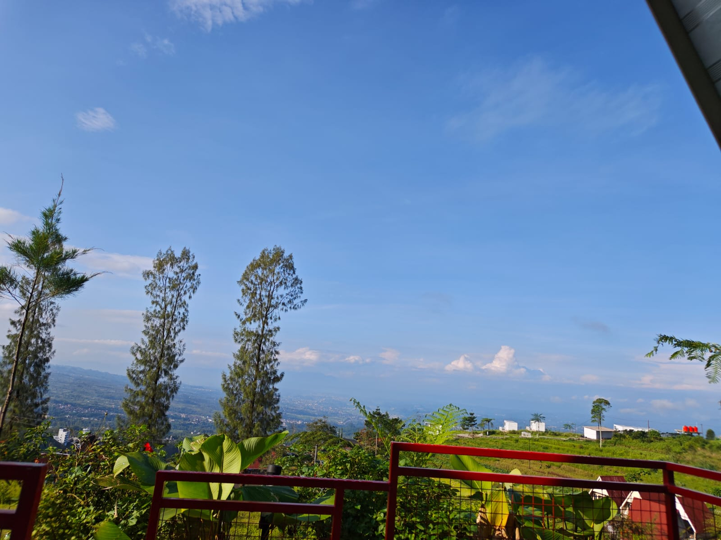 userImage-8