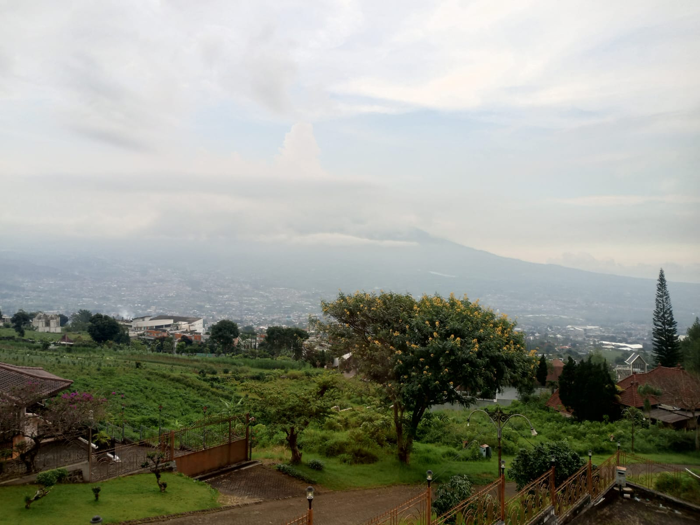 userImage-2