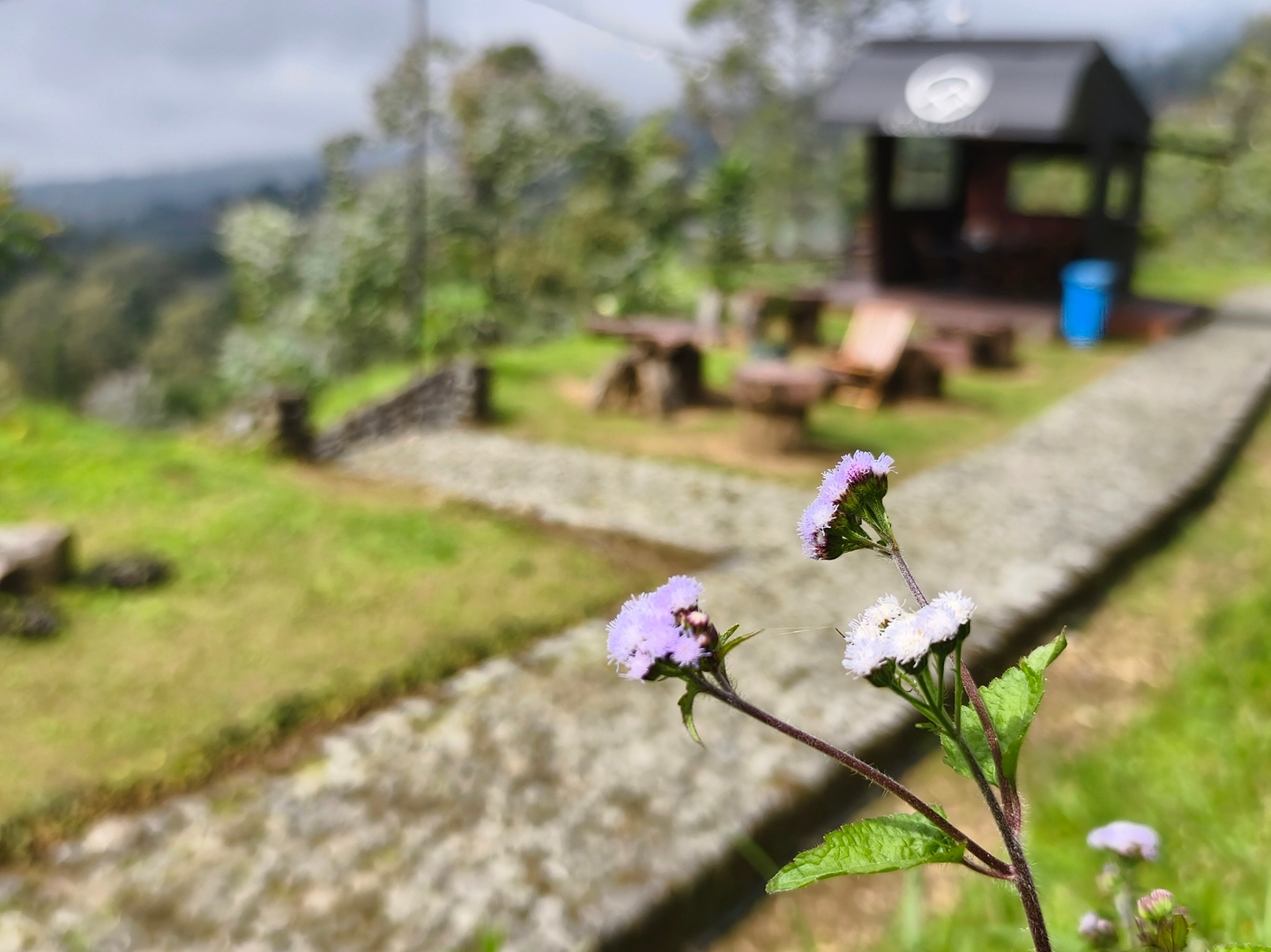 userImage-19