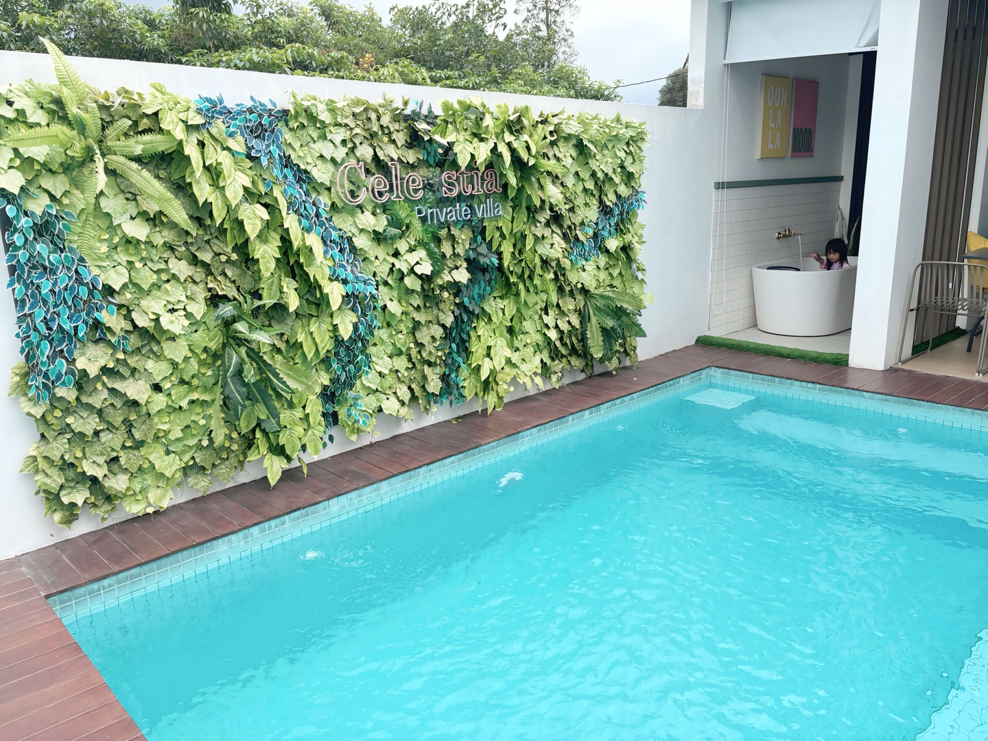 userImage-1