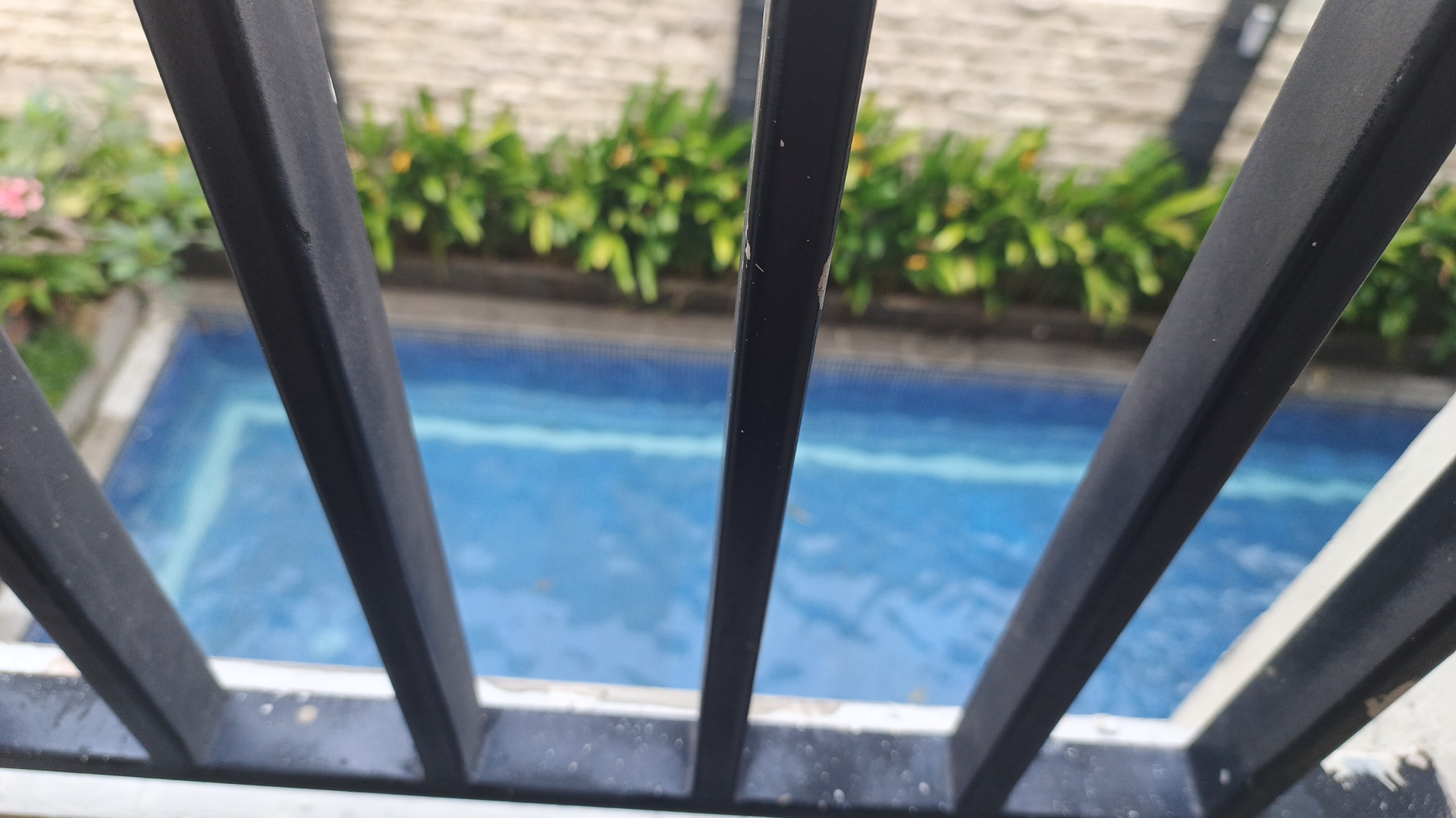 userImage-15