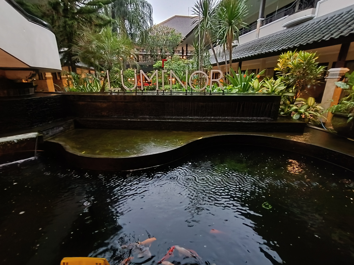 userImage-2