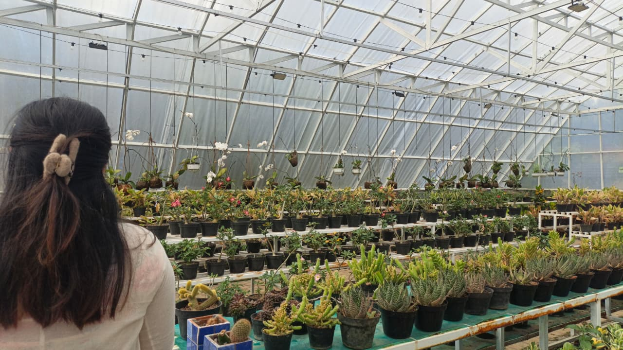 userImage-6