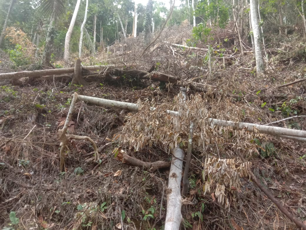 userImage-5