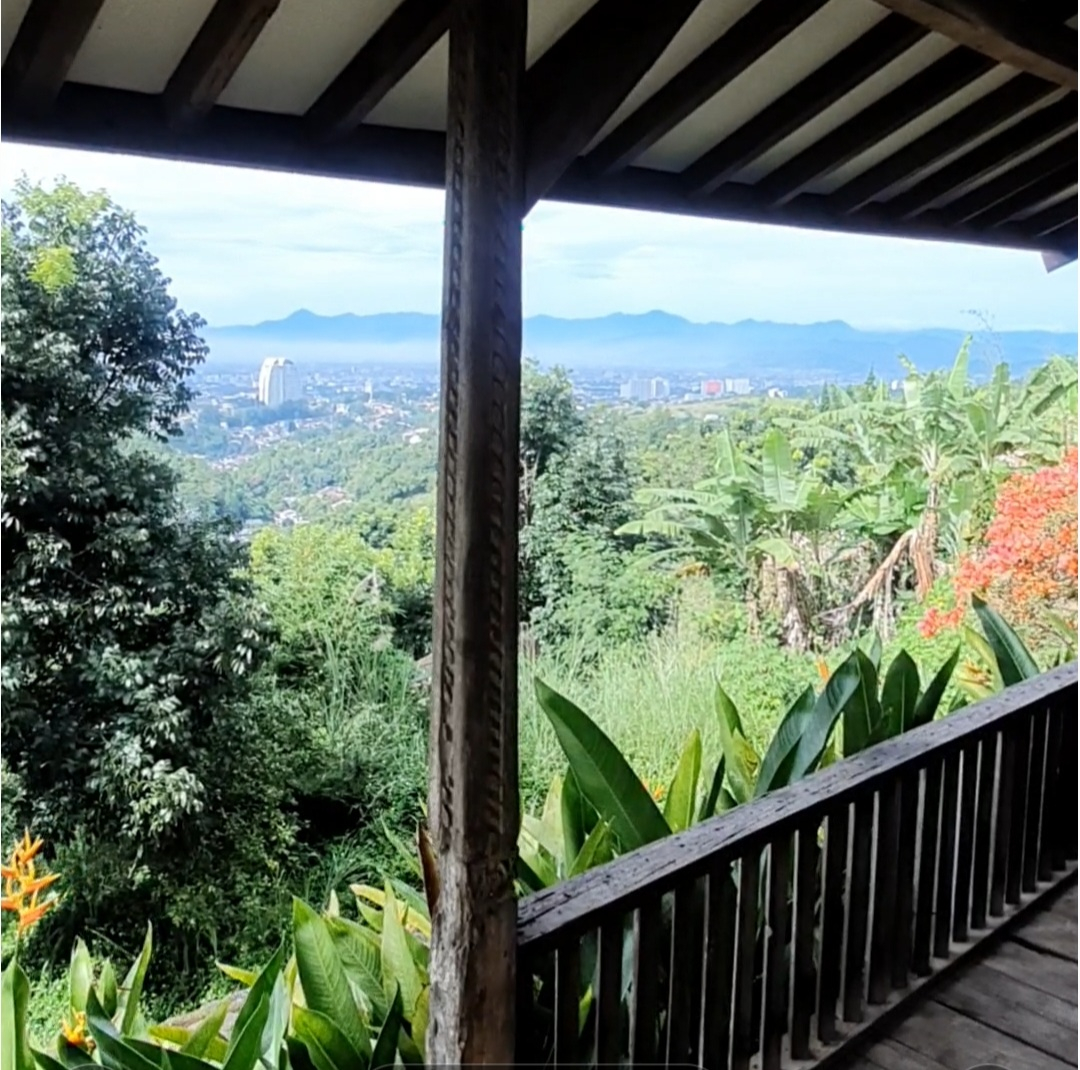 userImage-1