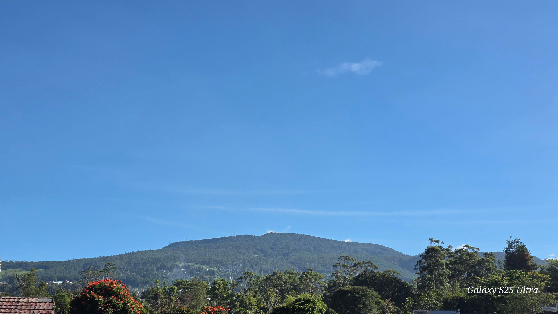 userImage-1