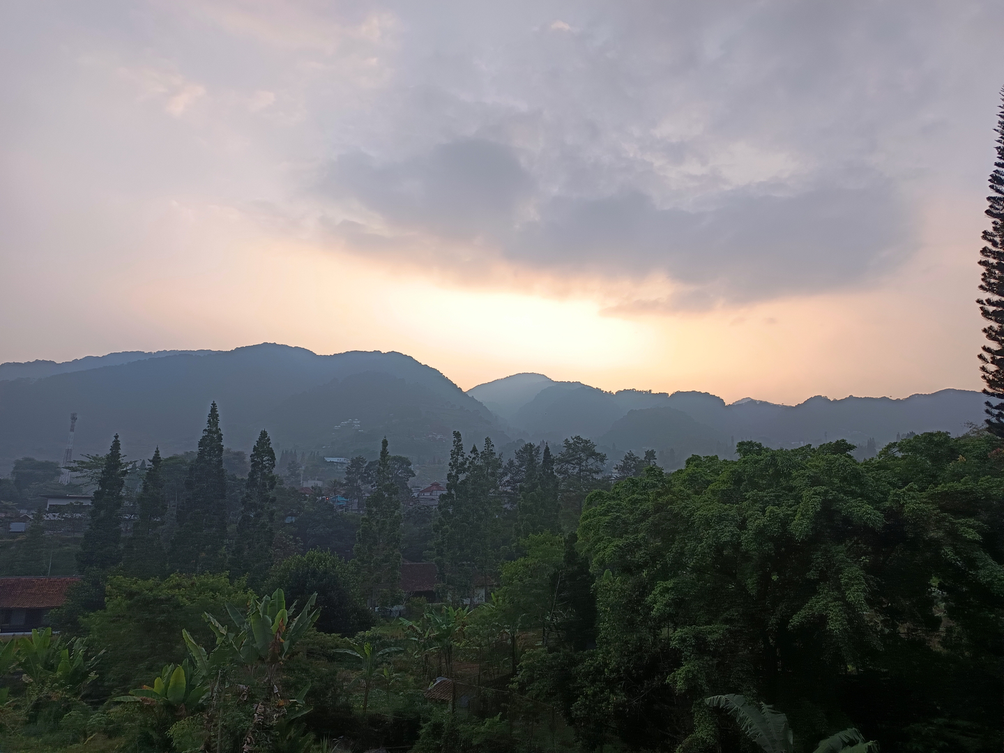 userImage-1
