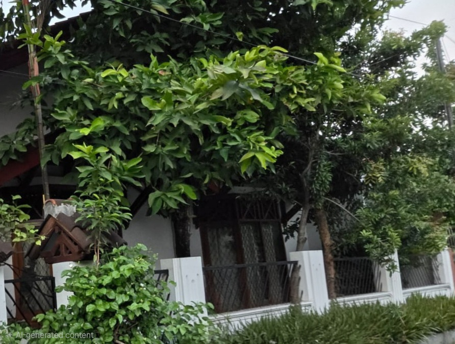 userImage-13