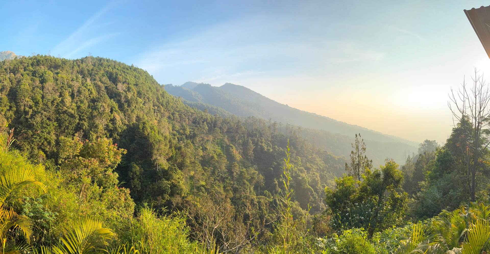 userImage-1