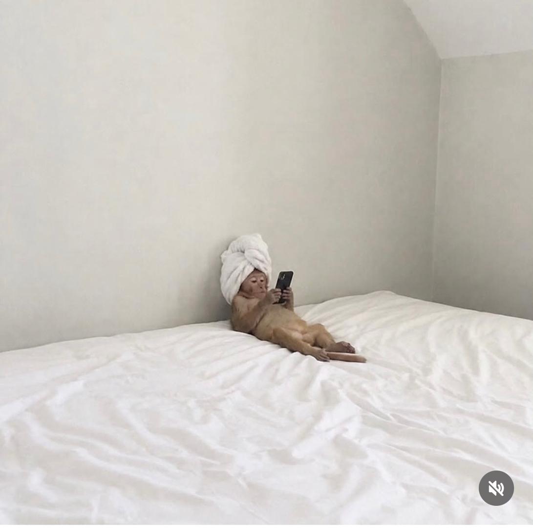 userImage-3