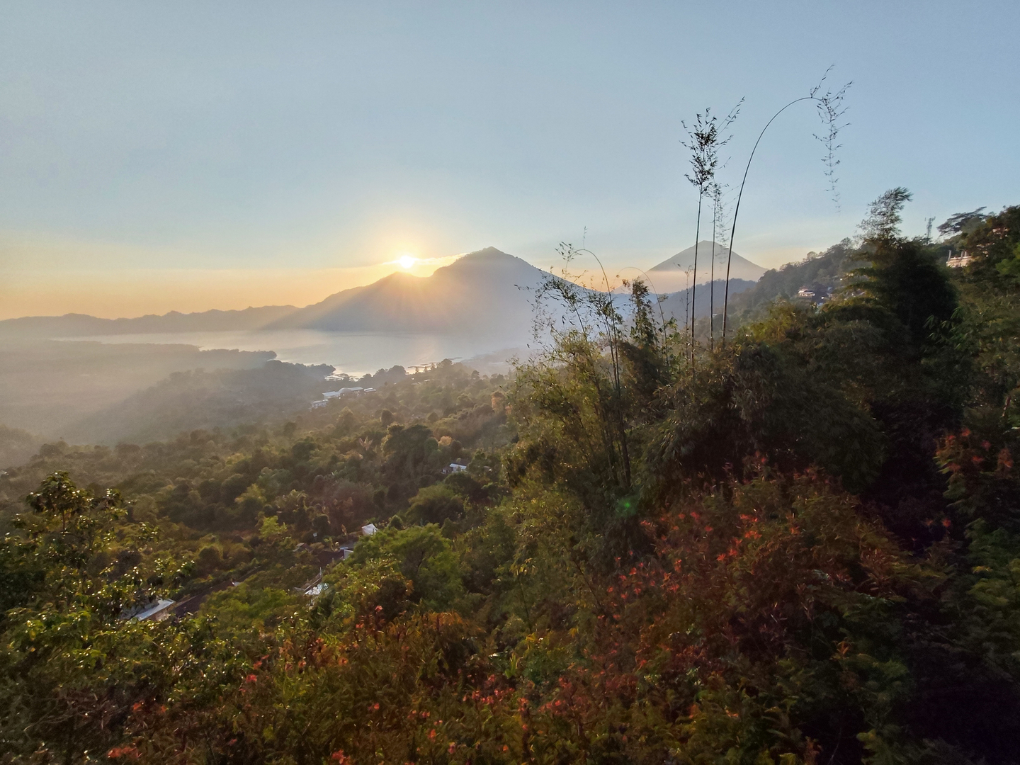 userImage-1