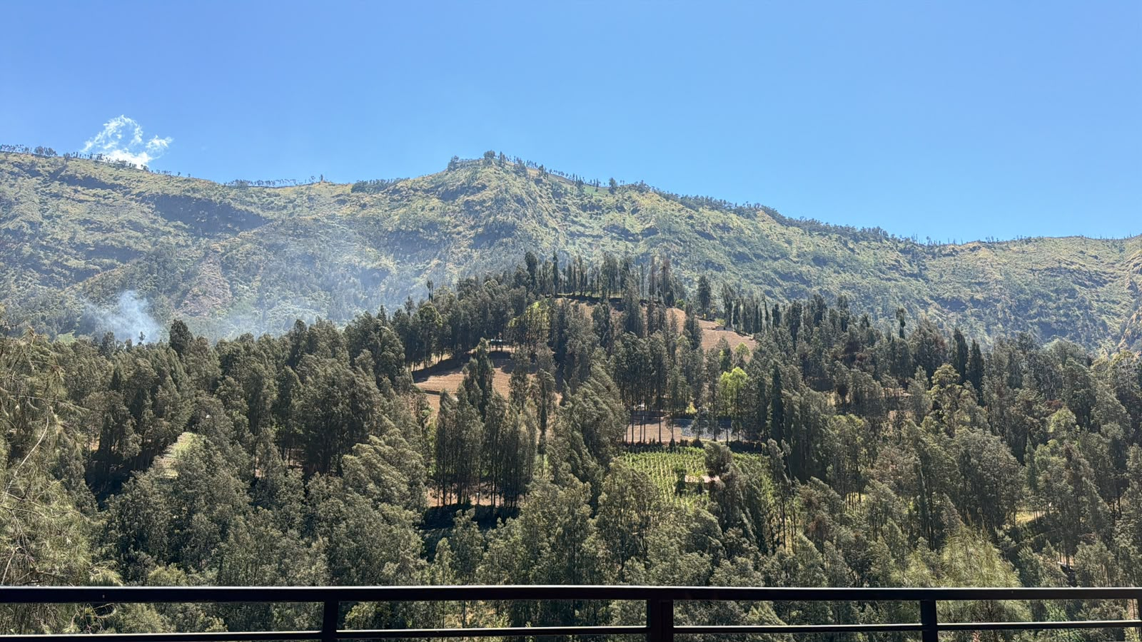 userImage-1