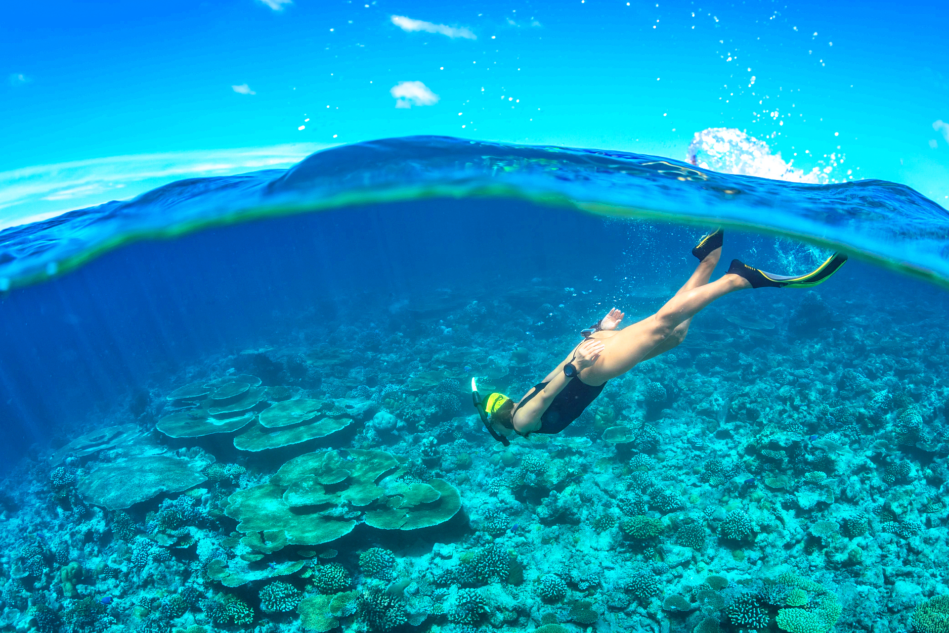 Cham Islands Underwater Walking and Snorkelling Half-Day Tour from Da Nang ULQIMI31