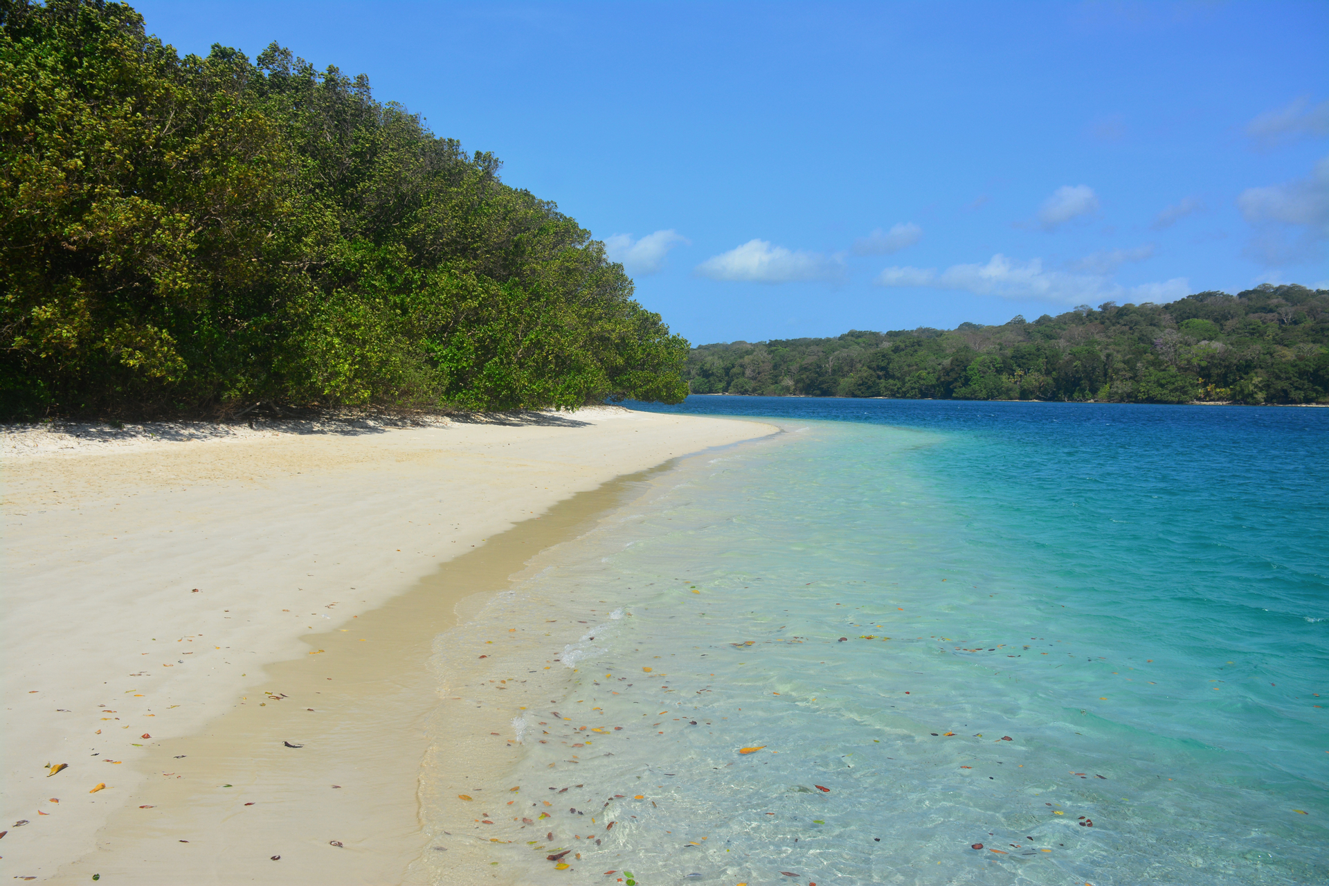 Ujung Kulon Pulau Peucang (3Days 2Night) Open Trip by Sabiladventure oVddOOuq