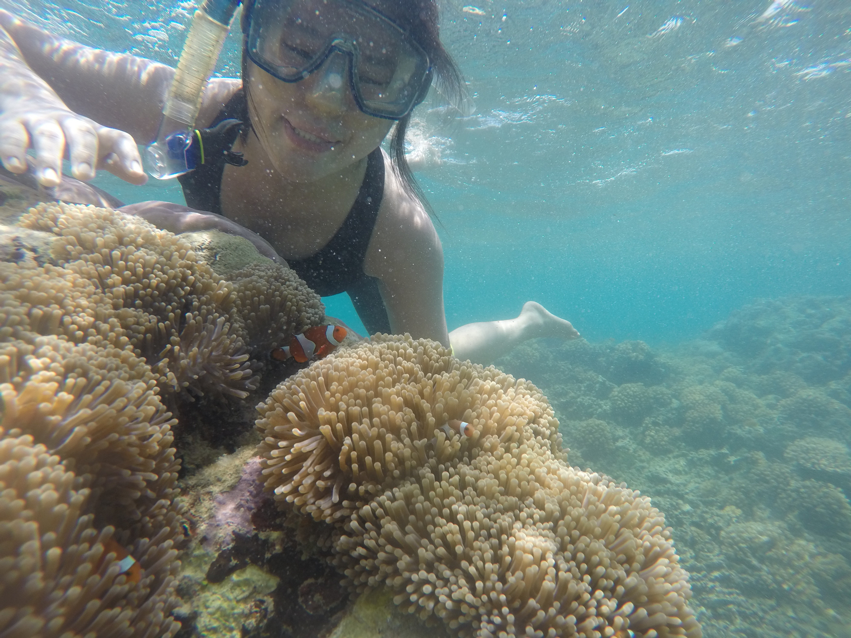 Ujung Kulon Pulau Peucang (3Days 2Night) Open Trip by Sabiladventure 0pEKww60