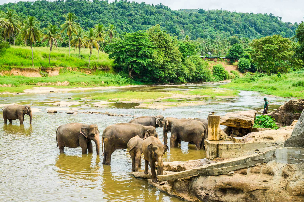 Private City Transfers for Colombo and Surrounding Areas cD4gKOur