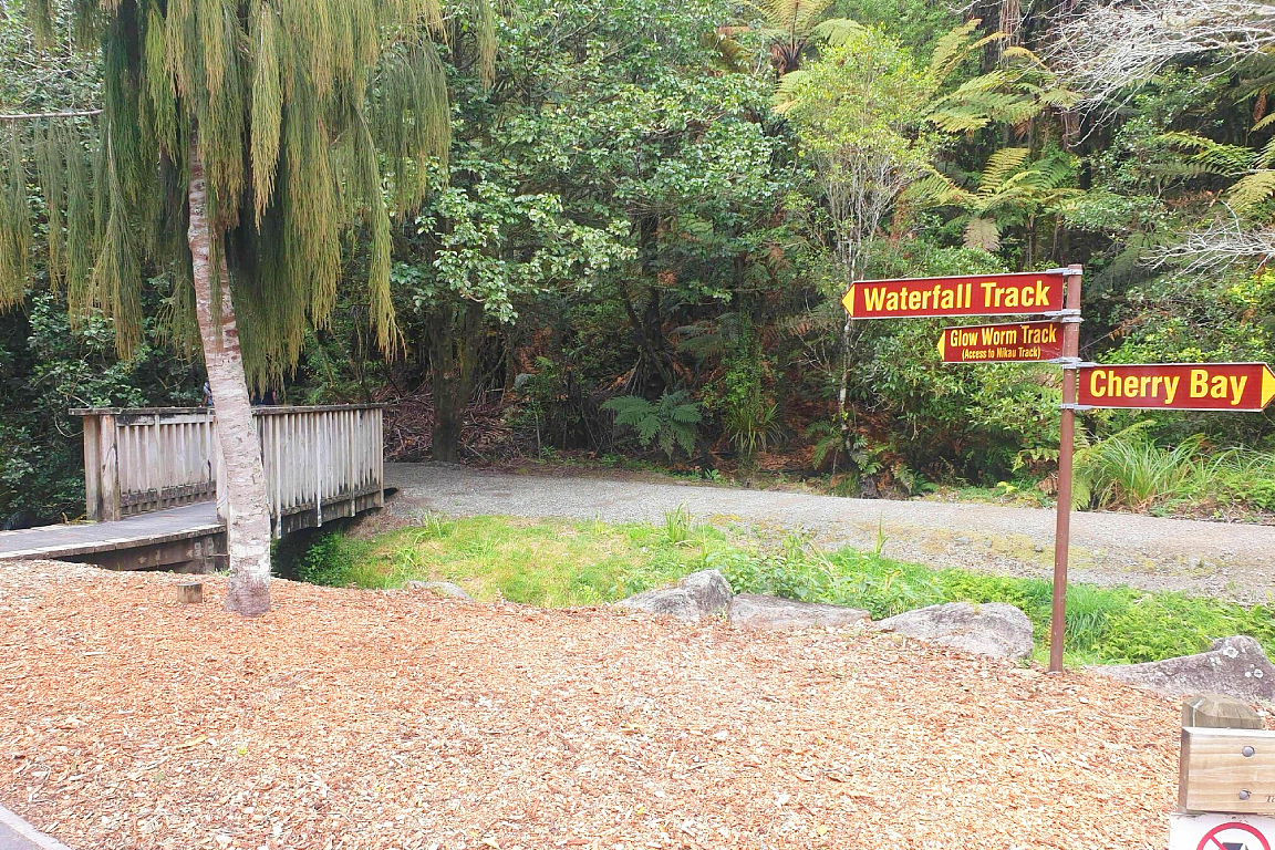 BIG Kanu Starlight Tour Rotorua kRA2vLJM