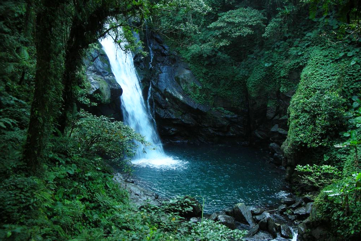 Neidong Forest Recreation Area Ticket in New Taipei City zsxjRlze