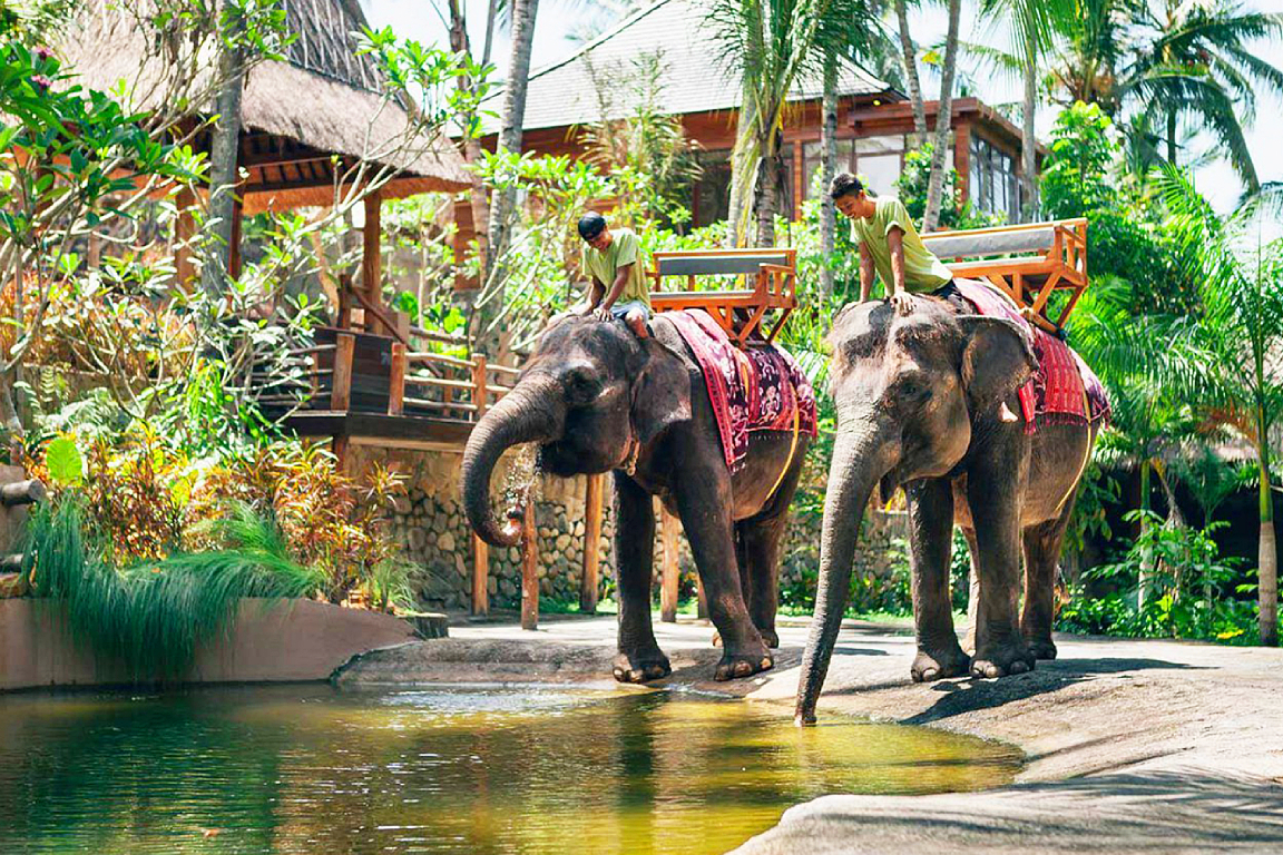 Lombok Wildlife Park Ticket (For Domestic Travellers ID Card and KITAS Card Holders) kZ01AXFh-backdrop