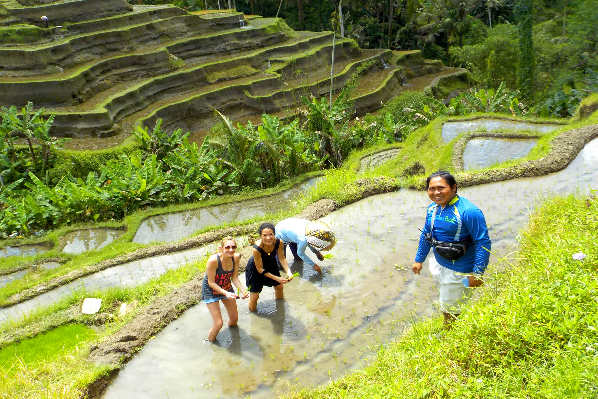 Ubud to Tegalalang Rice Terraces 1 tiketcom.jpg