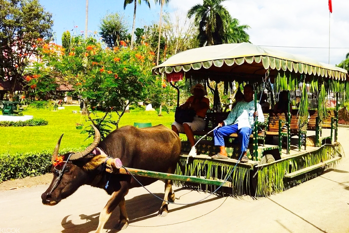 Villa Escudero Day Tour from Manila by Vina Tour (비나투어) gyBxtG6l-backdrop