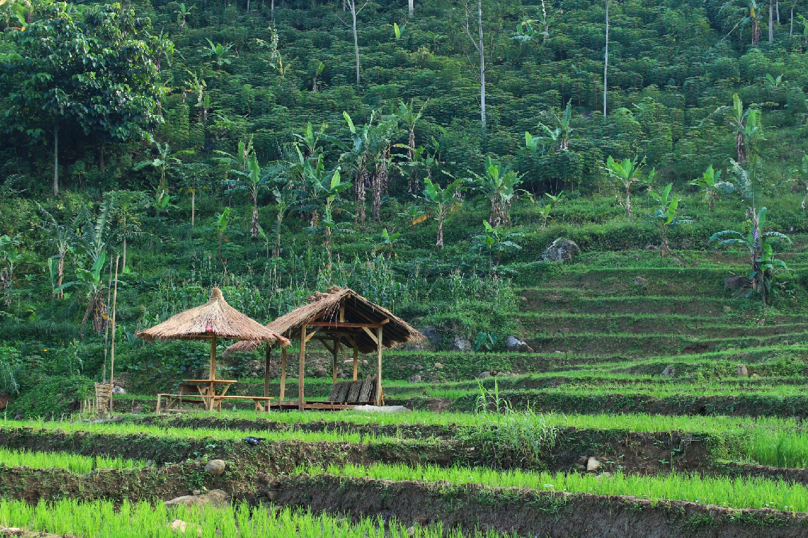 Trekking curug ngumpet Sentul by Sentul Hill Trekking (3).jpg
