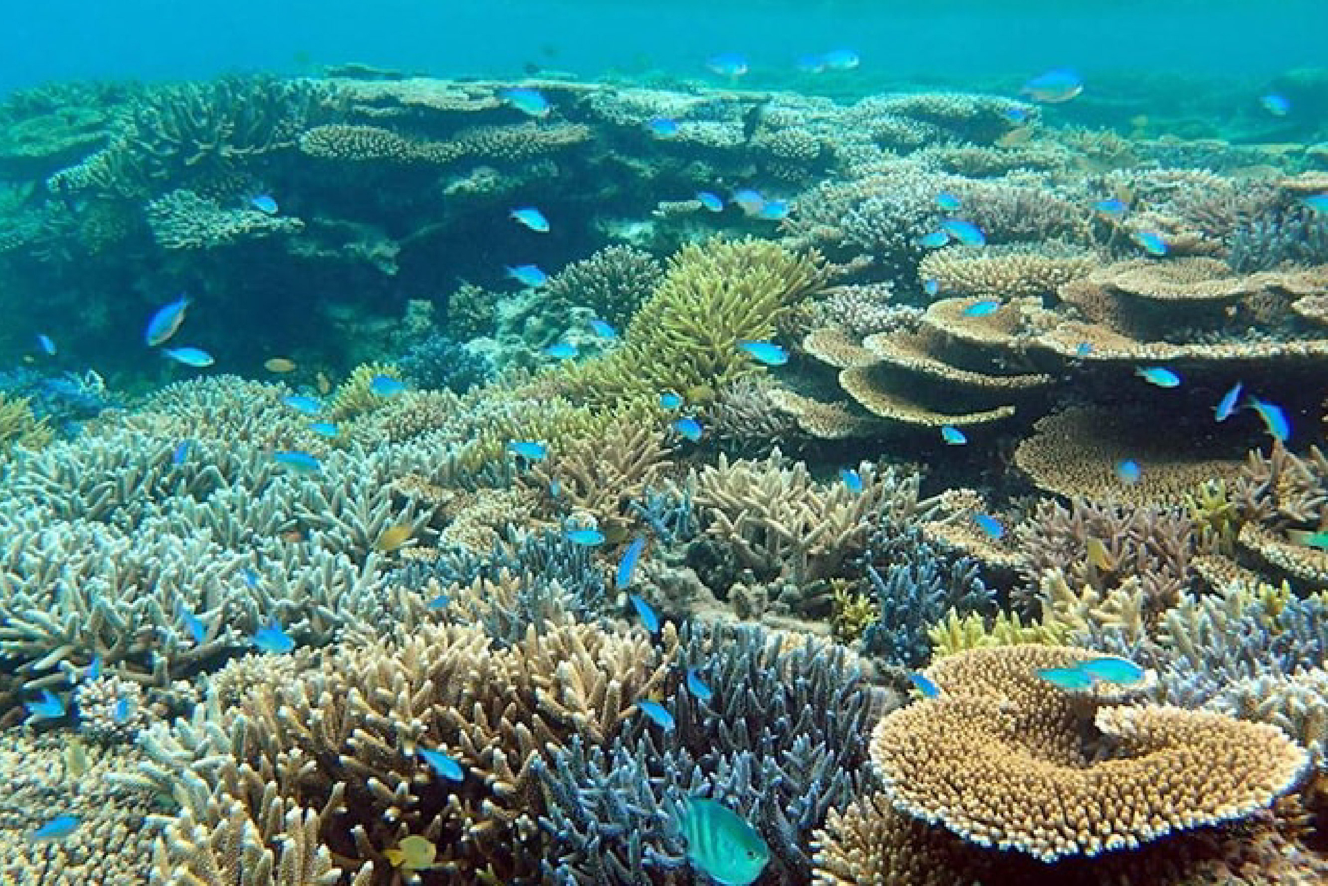 Pulau Harapan-05.jpg