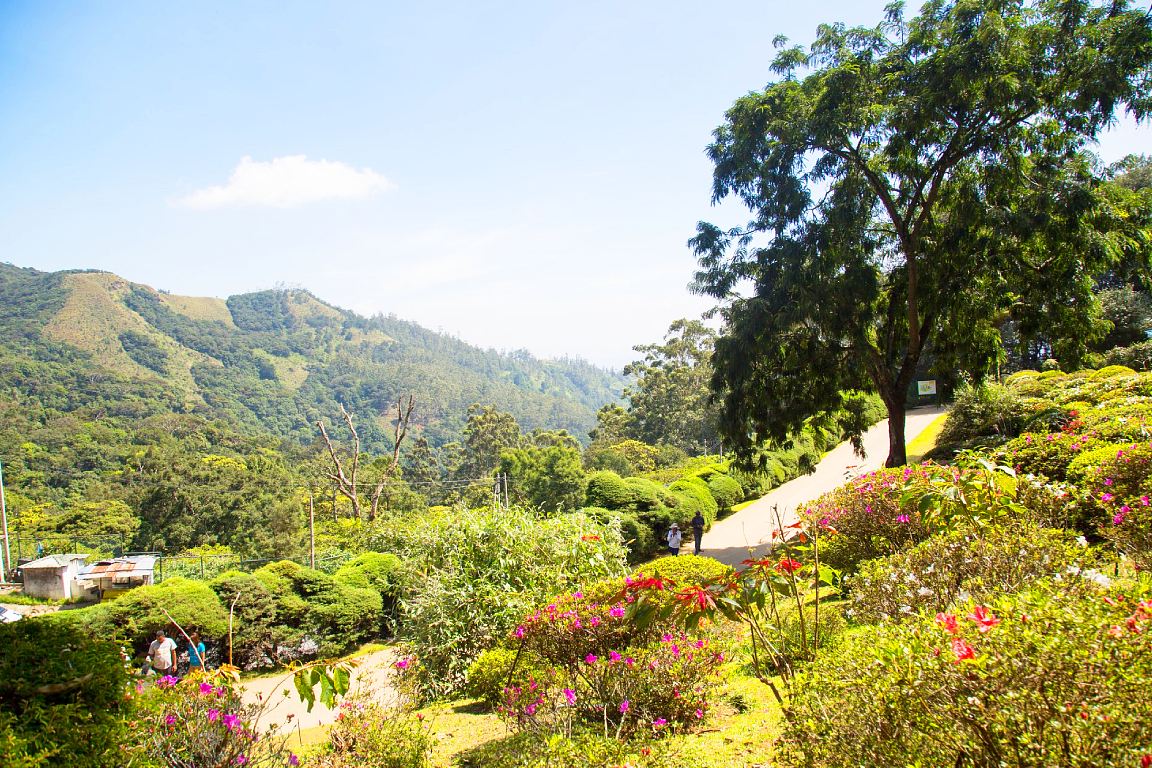 Nuwara Eliya Private Day Tour from Ella zKA7Qxei