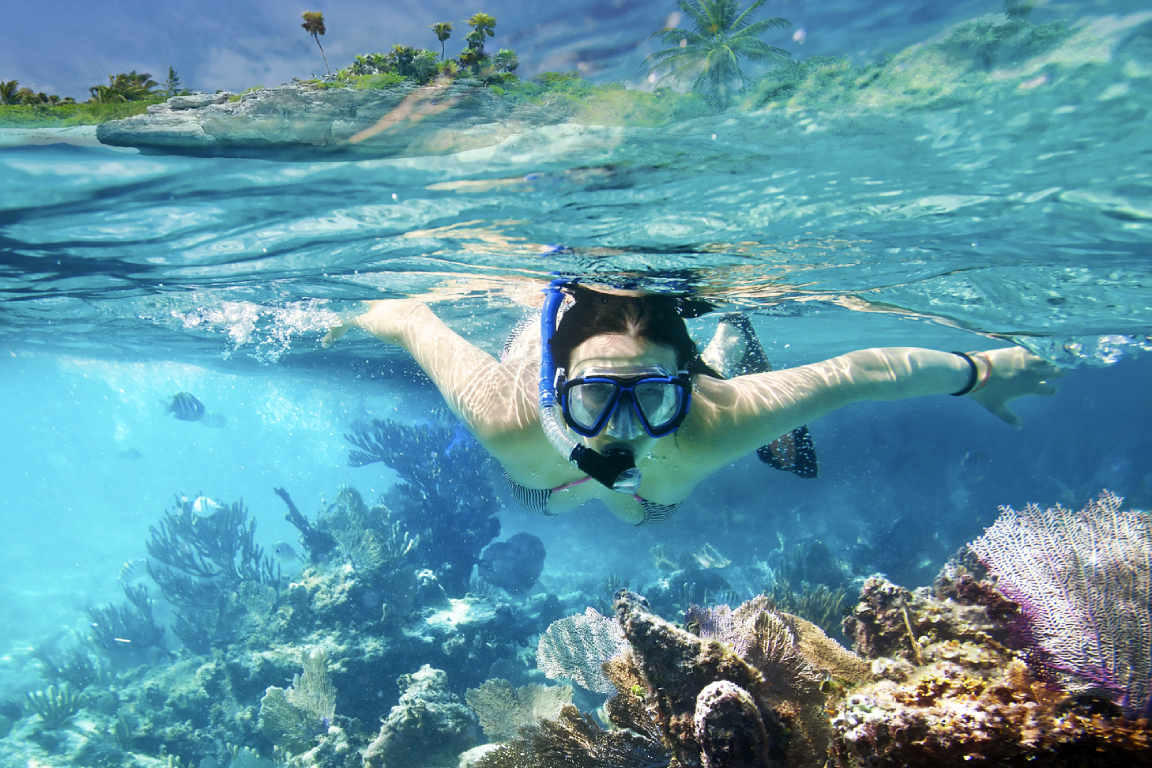 Coral Island Snorkelling Experience in Trincomalee FpKdLrH9-backdrop