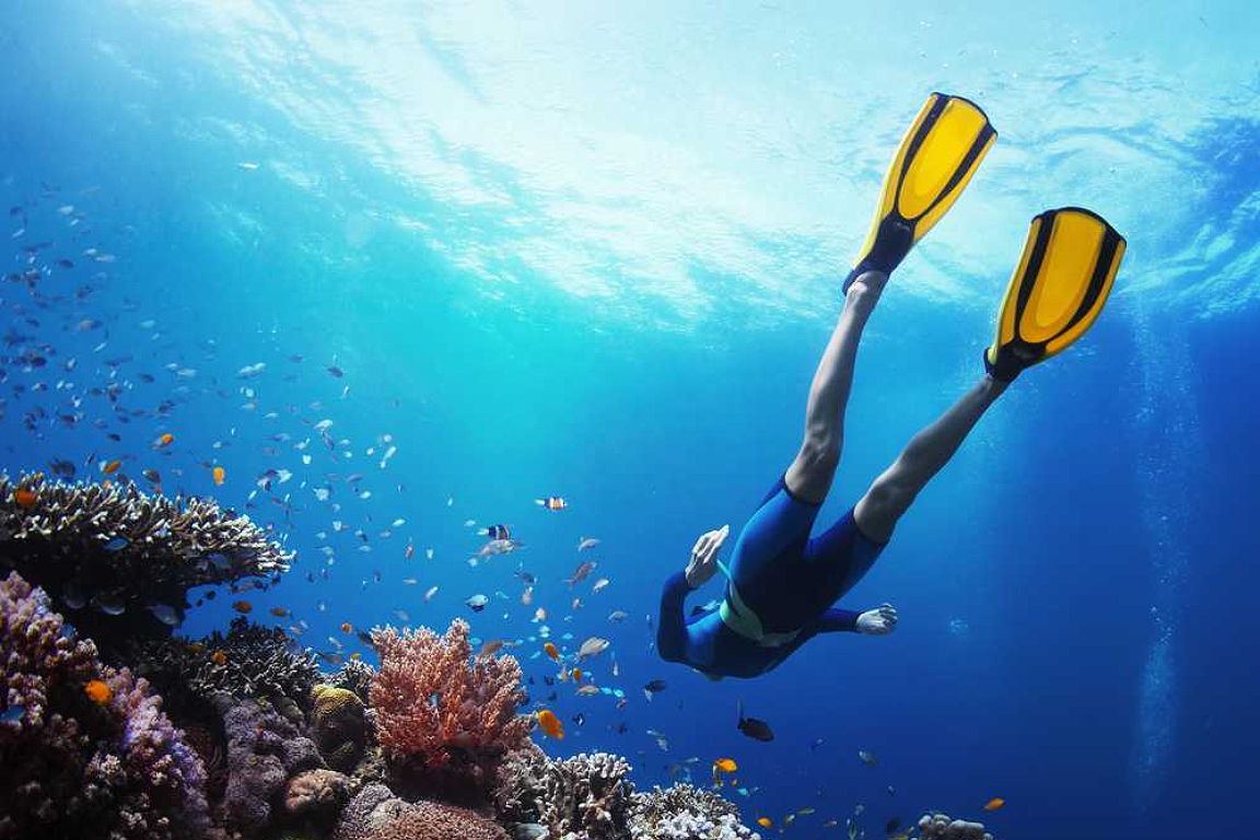 Coral Island Snorkelling Experience in Trincomalee f5IcOaML