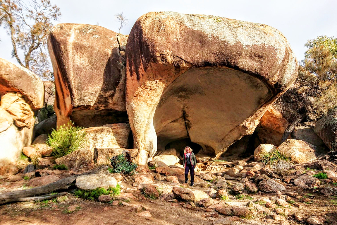 Wave Rock York Wildflowers & Aboriginal Culture Day Tour in Perth 50% ...