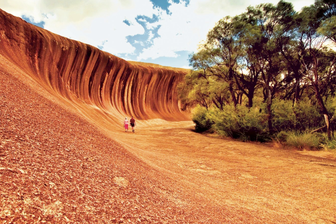 Wave Rock York Wildflowers & Aboriginal Culture Day Tour in Perth ...