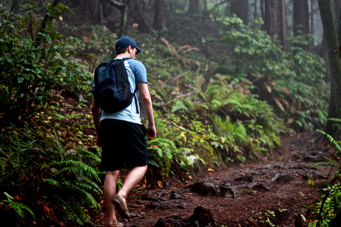 Sinharaja Forest Reserve Private Tour from Bentota S7kY4zTe