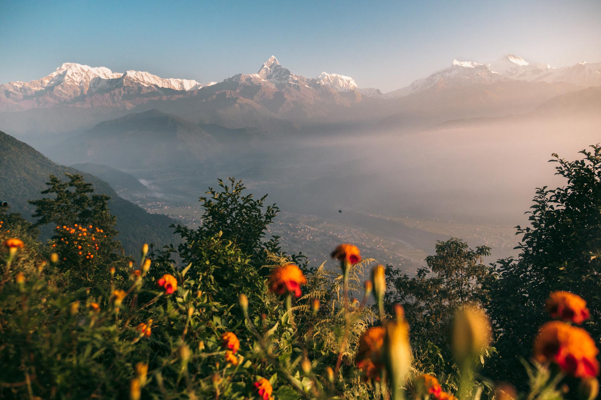 Sarangkot Sunrise View W8BIl01i-backdrop
