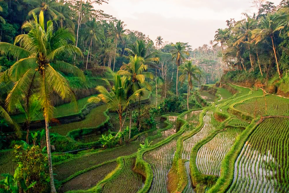 Amazing Kintamani – Penglipuran Tour by Bali Best Adventure Wn6Hz2Rf