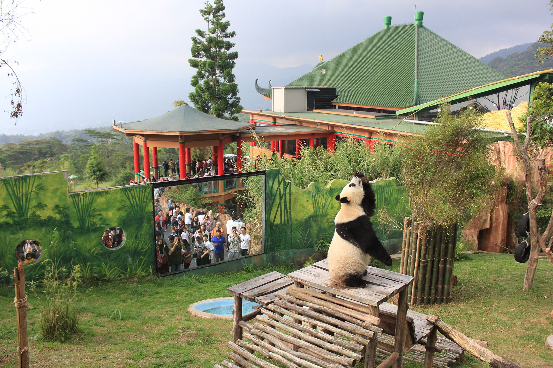 Taman Safari Indonesia Bogor siCfRdwa