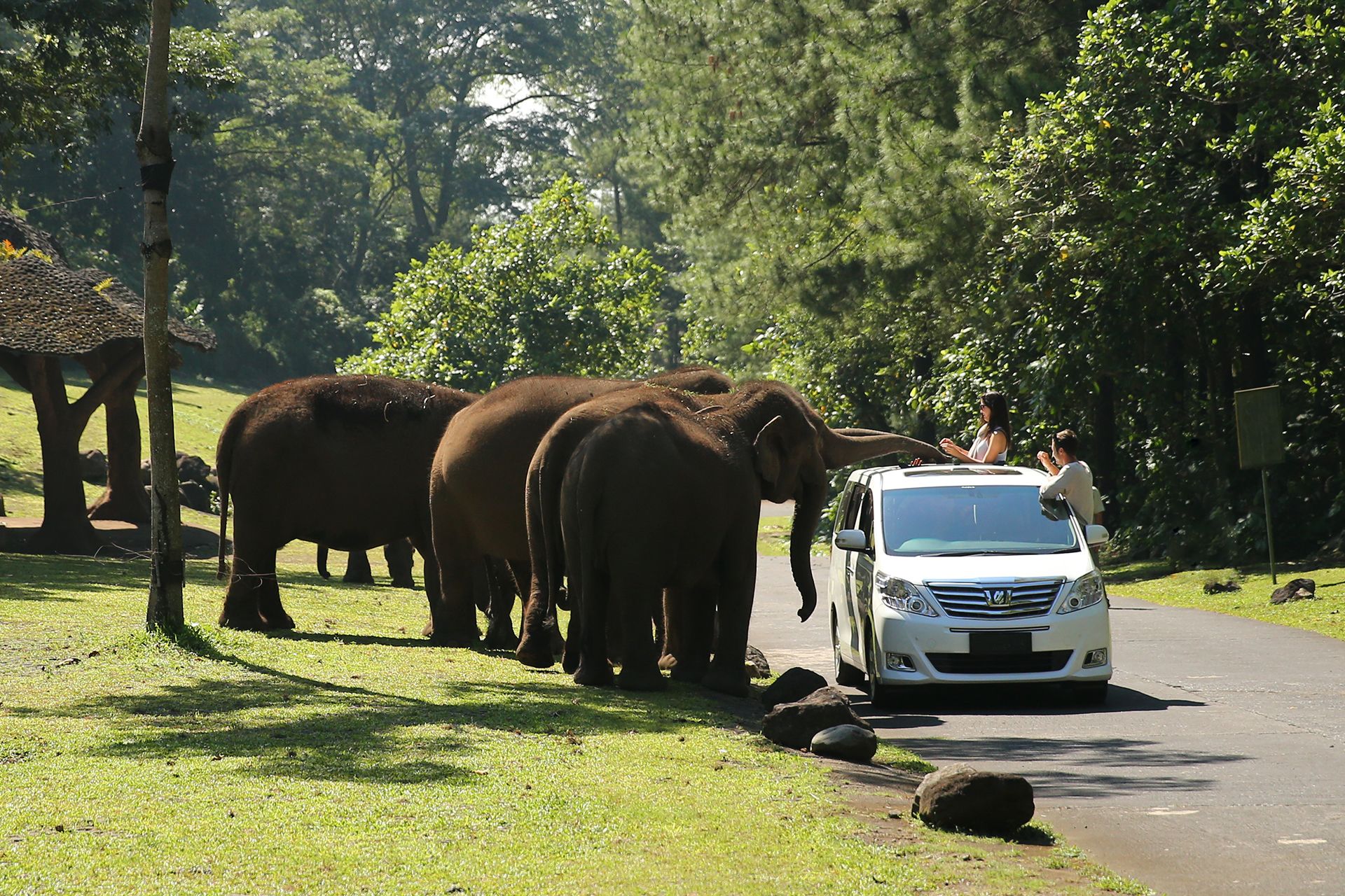 Taman Safari Indonesia II Prigen