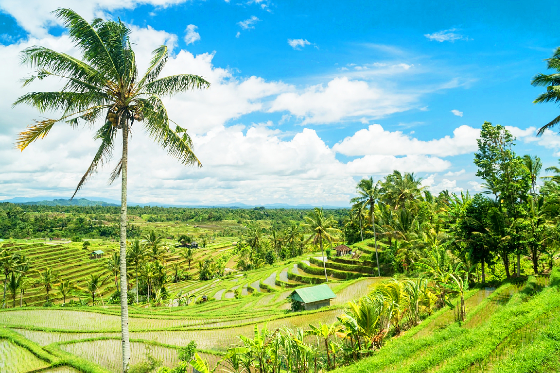Best Northern Bali Sites with Tanah Lot Temple Tour TrSCJTZI