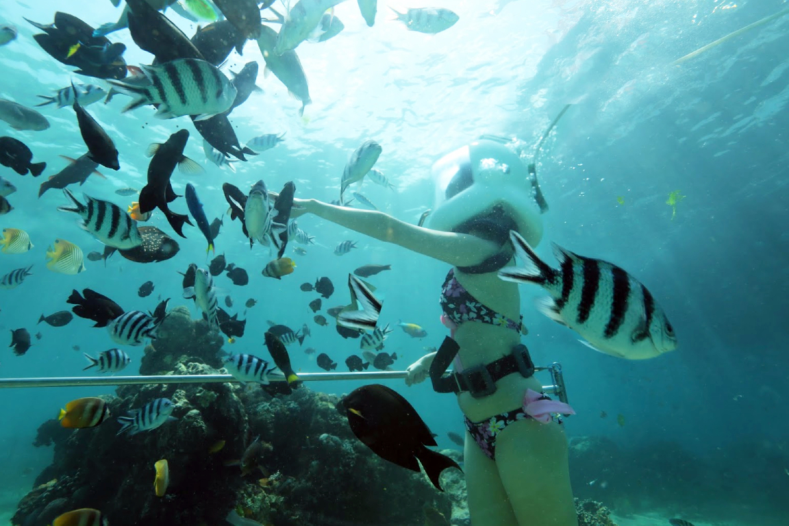 Ocean Walker By Bali Best Adventure Harga Tiket Promo Terbaru 2023