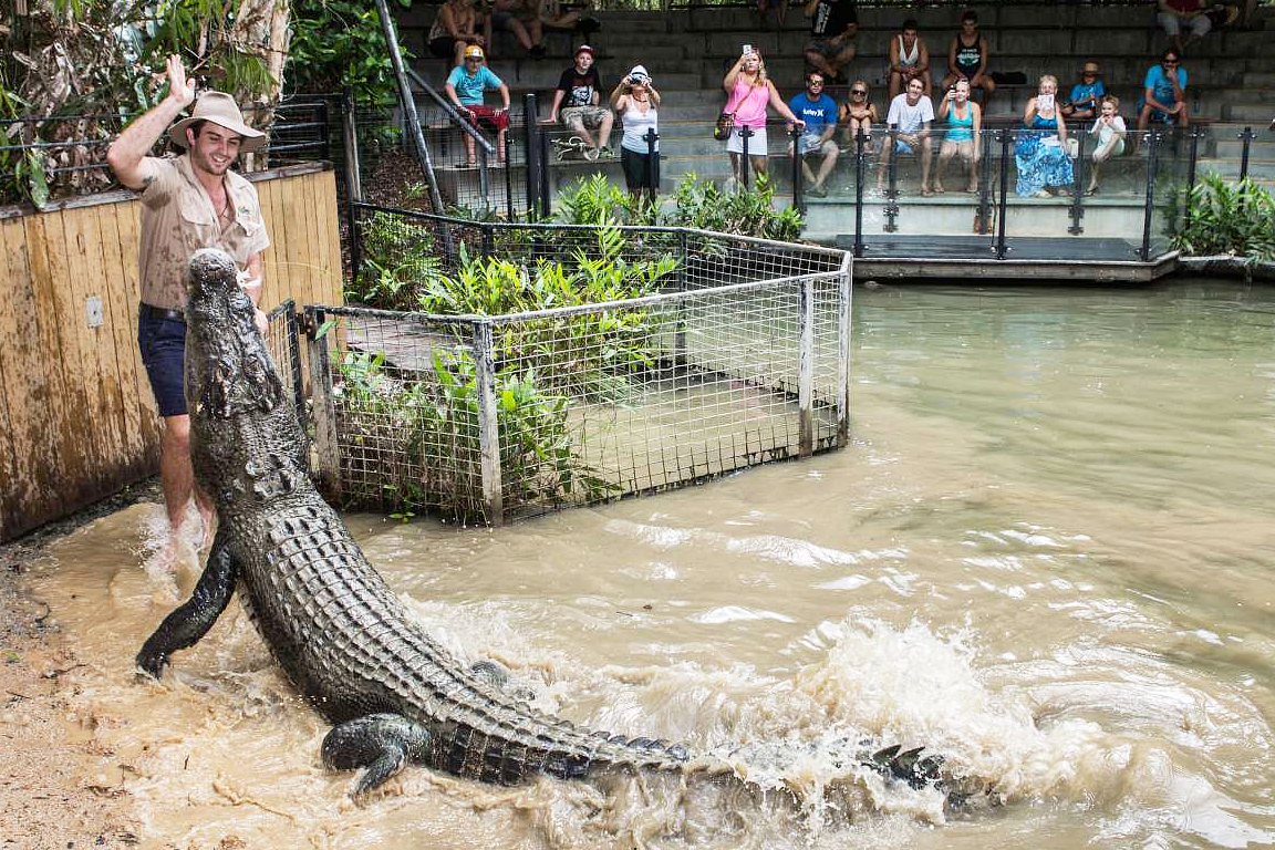 Hartley's Crocodile Adventures Ticket eBbHBMWK-backdrop