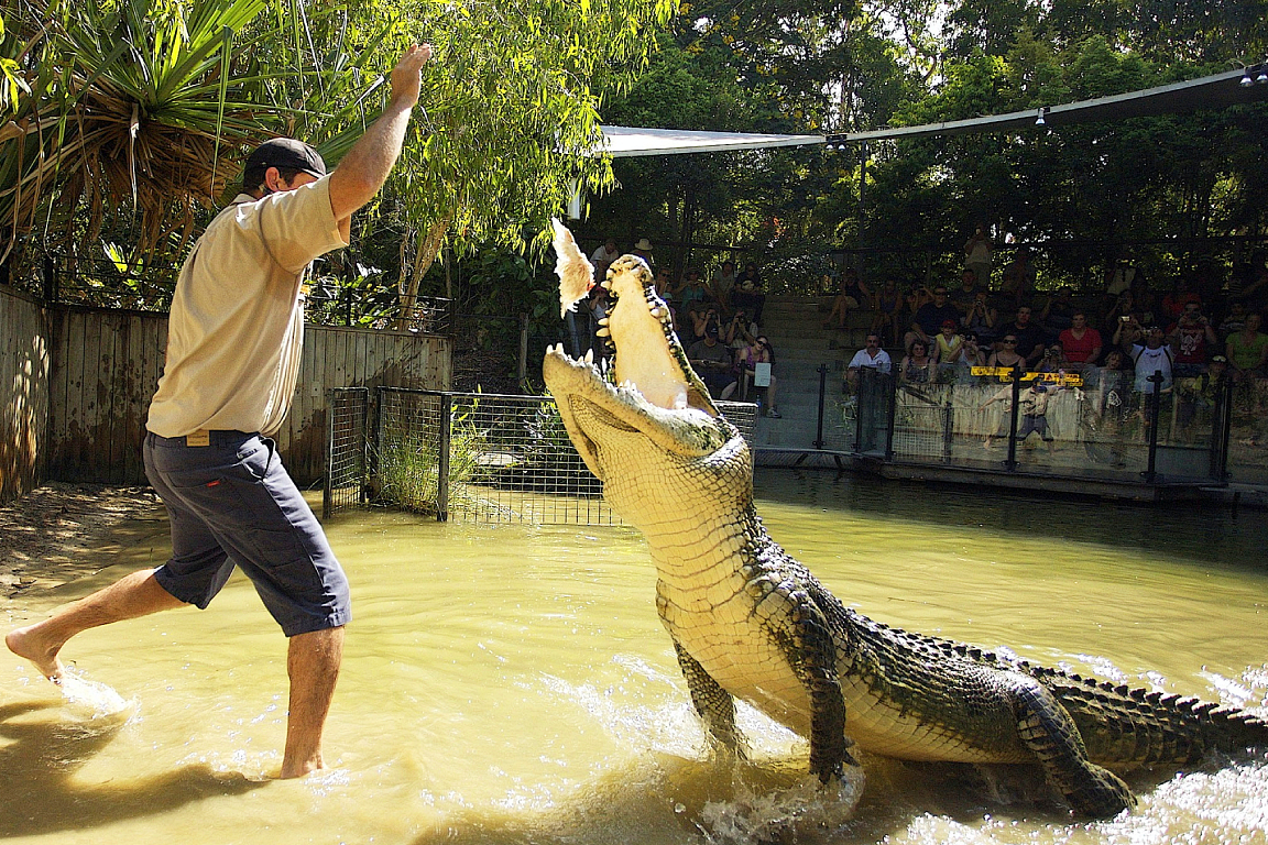 Hartley's Crocodile Adventures Ticket 67kCJLyF