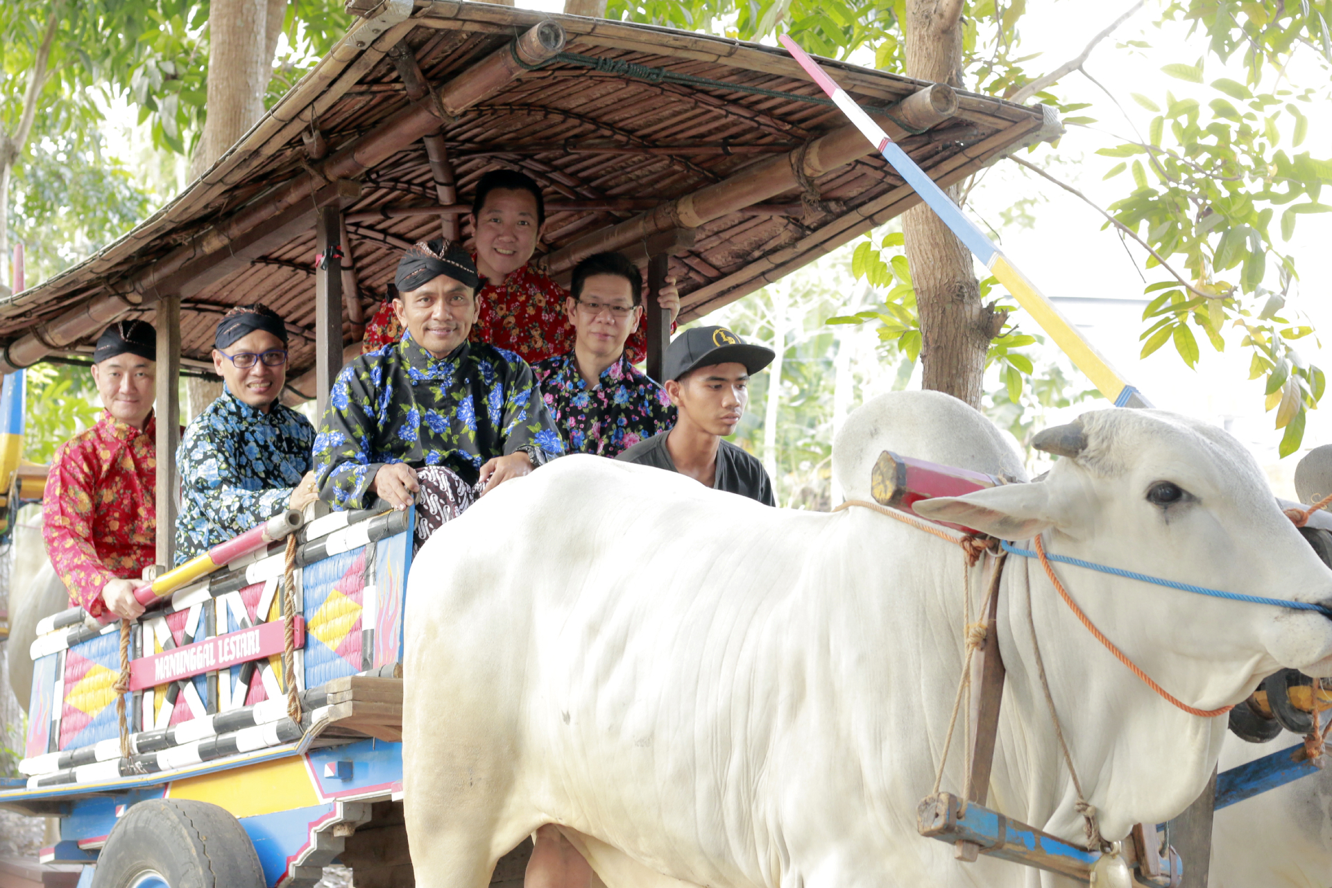 Sapi Events One Day Gerobak Sapi - Private Tour by Chacha Tour Cashback 10% on 2024 ...