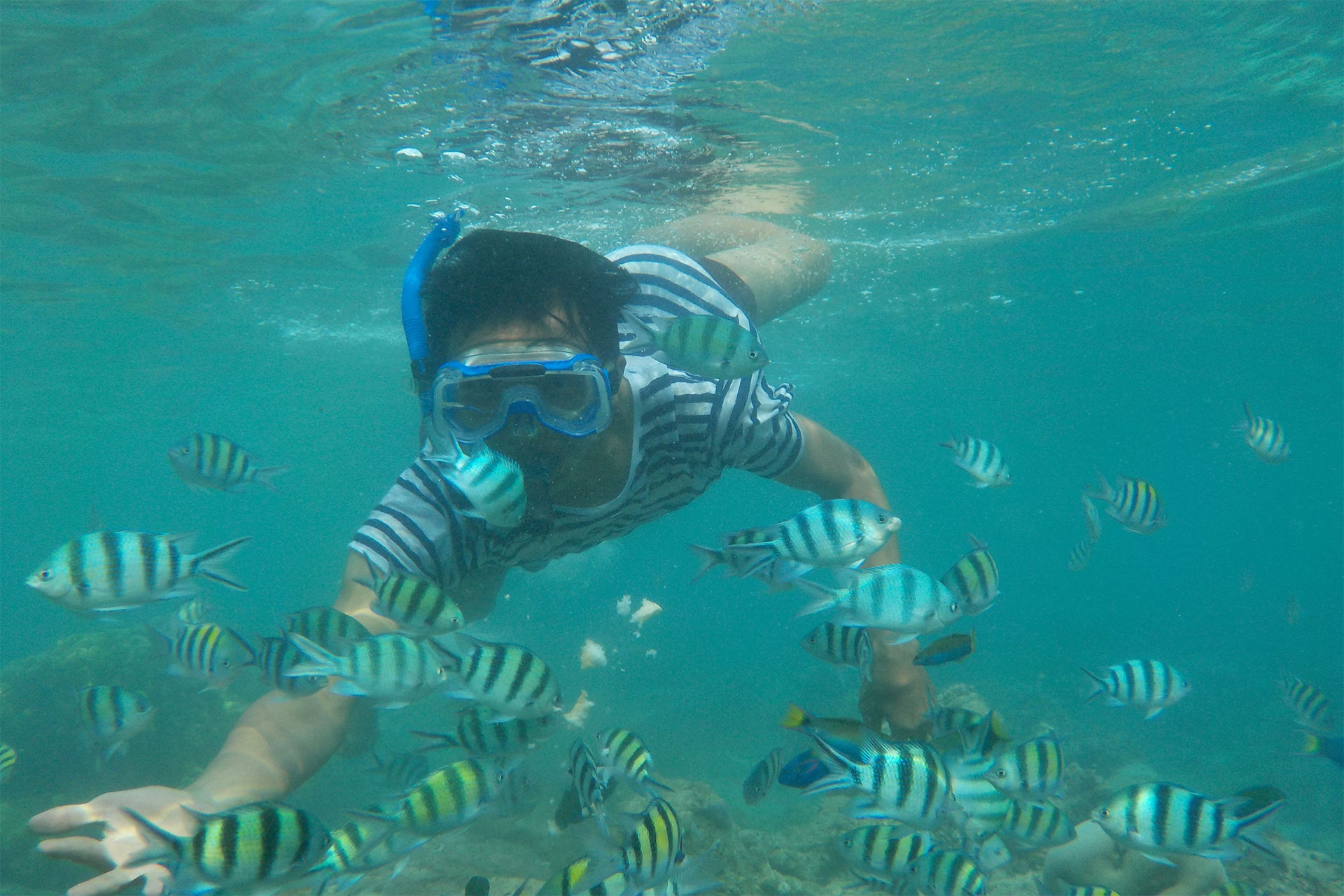 snorkeling-tidung.jpg