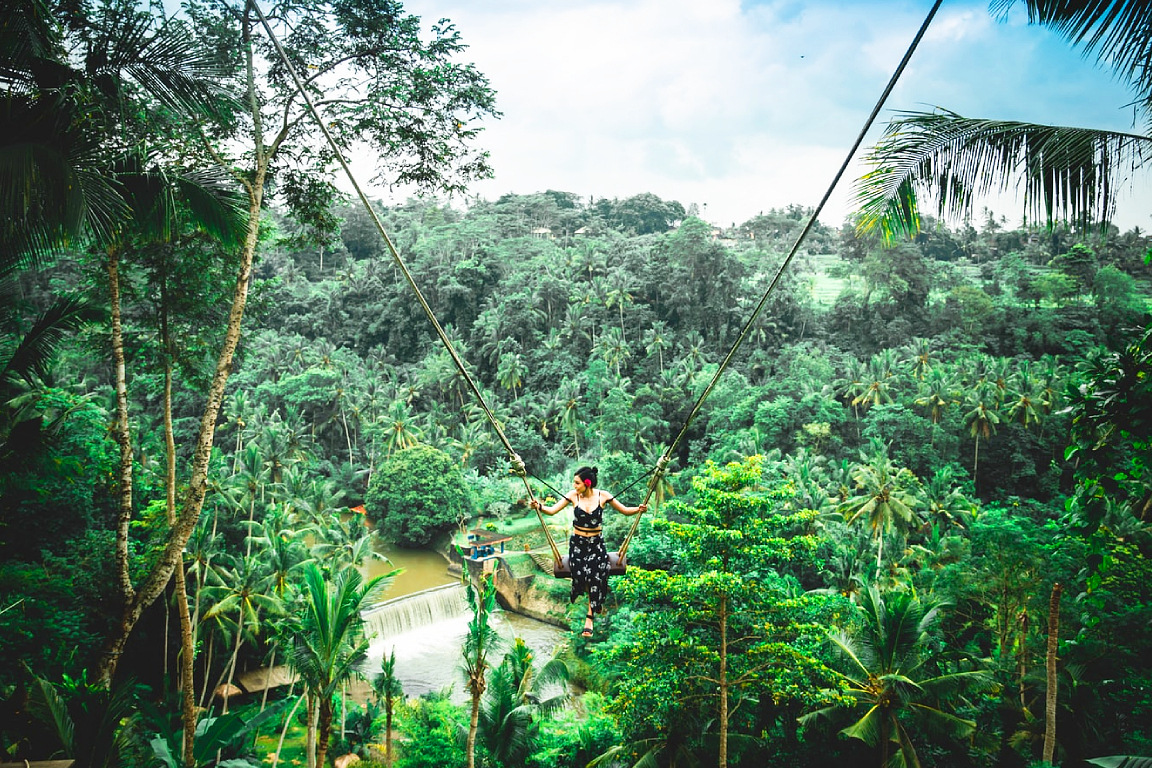 Bali Holy Bath and Jungle Swing Private Day Trip naA19BRD