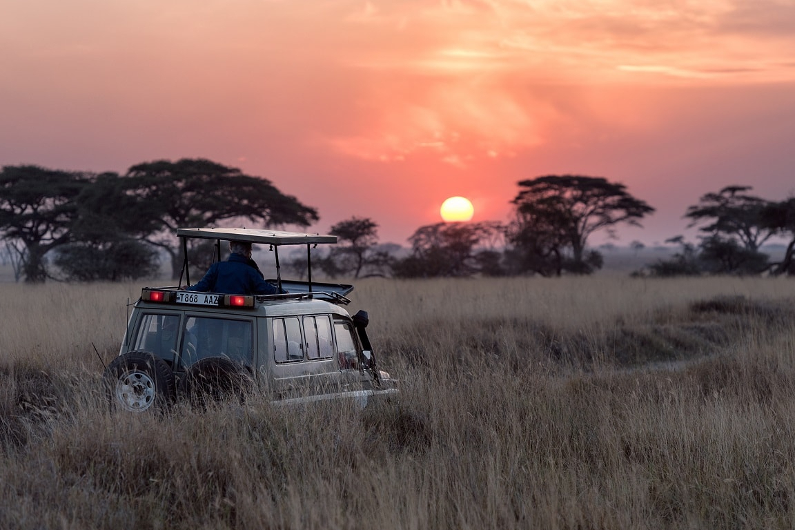 Wilpattu National Park Safari Drive from Trincomalee JZavgjfk-backdrop